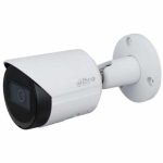 DAHUA IP Camera DH-2431SP-S2